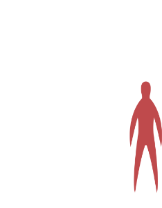 Coraxl size