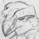 Fat Bug thumbnail